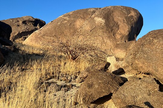 Tour image 14